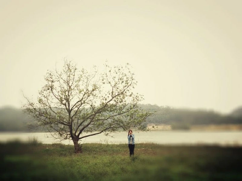 Nhìn lại để bước tiếp