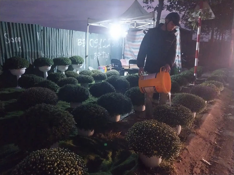 Dựng lều “bán mùa xuân”