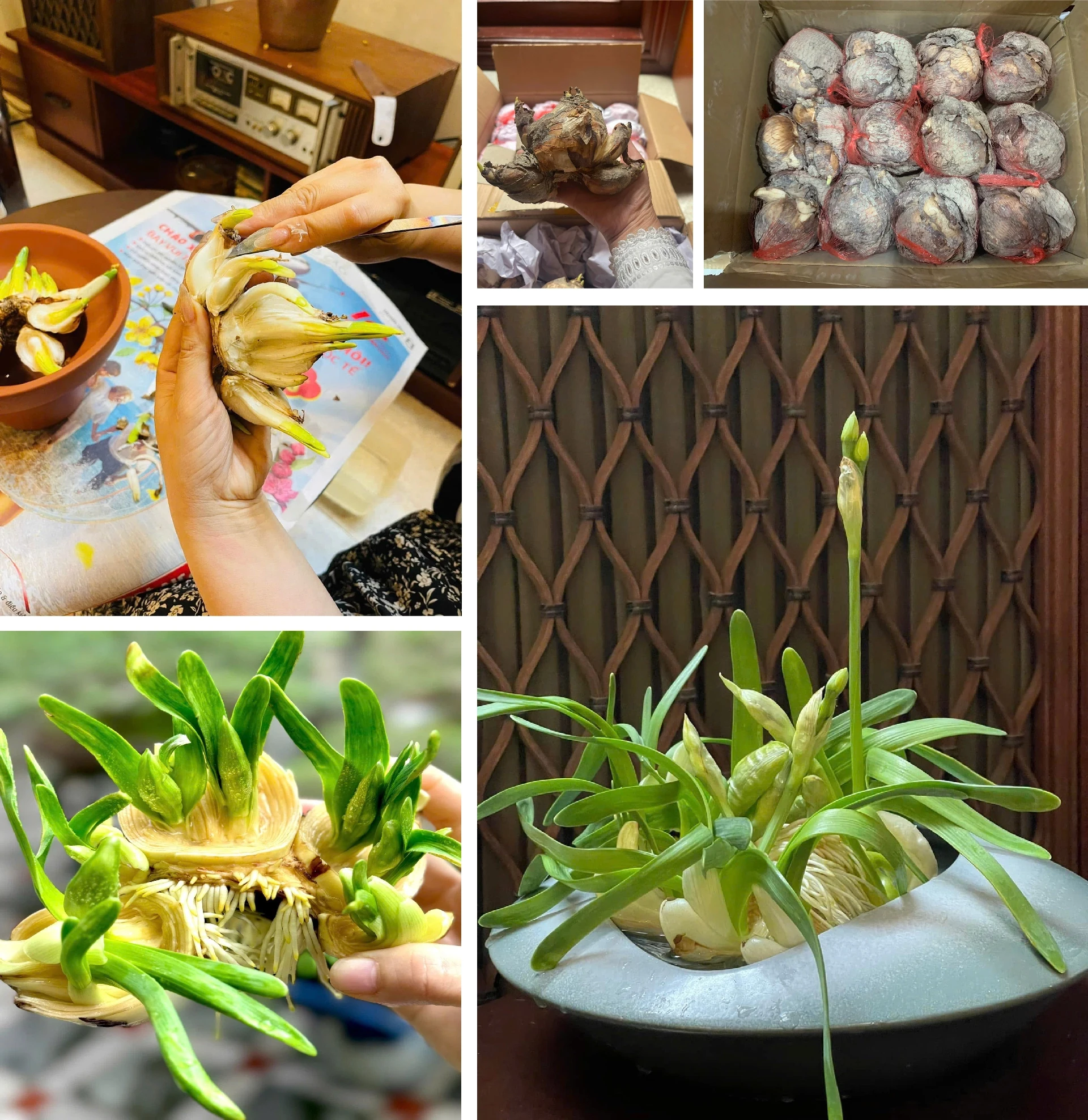 [E-Magazine] - Thanh tao thú chơi Thuỷ Tiên ngày Tết