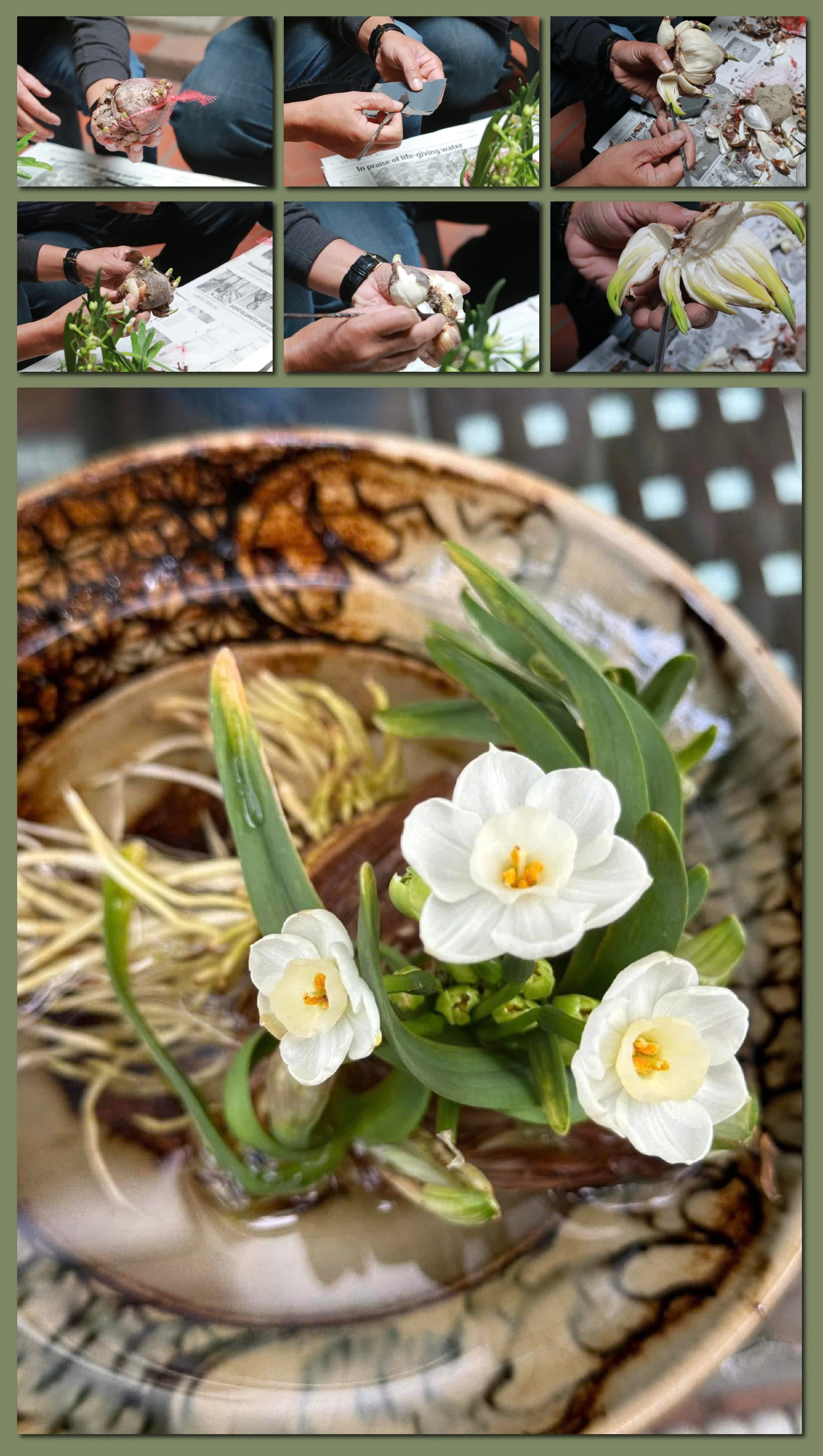 [E-Magazine] - Thanh tao thú chơi Thuỷ Tiên ngày Tết