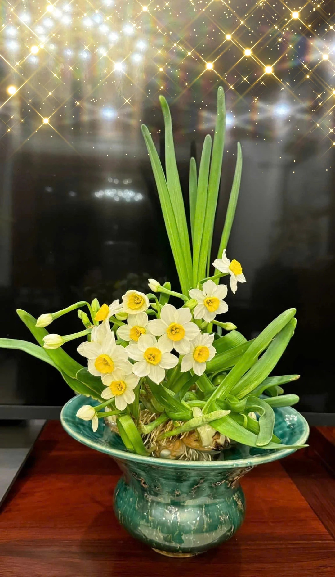 [E-Magazine] - Thanh tao thú chơi Thuỷ Tiên ngày Tết