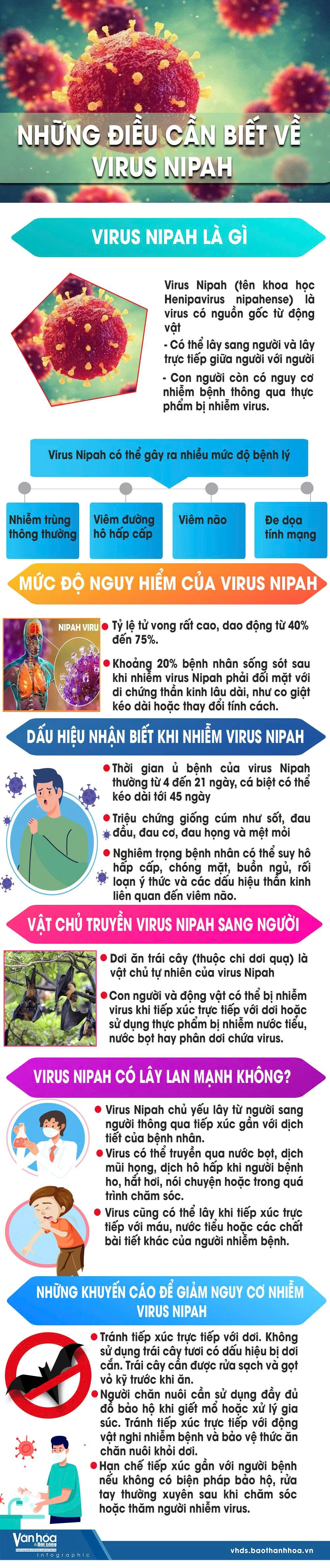 Những điều cần biết về Virus Nipah