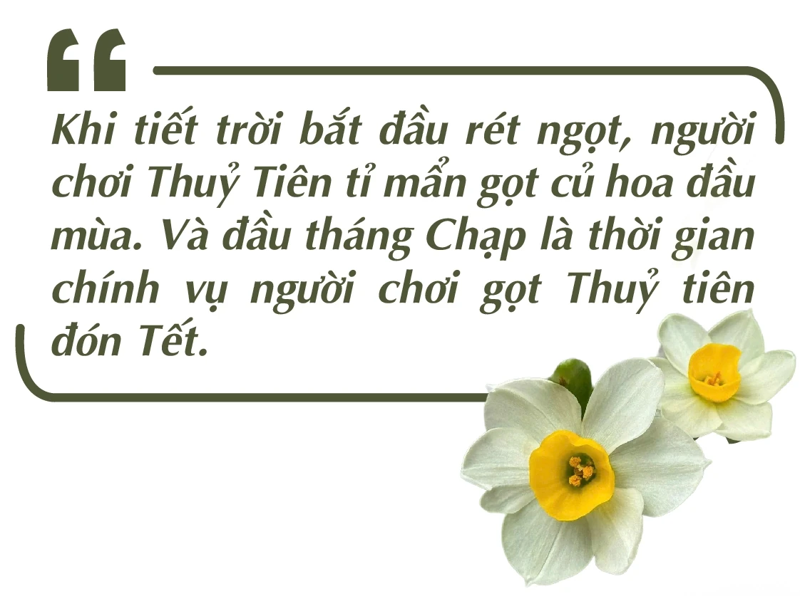[E-Magazine] - Thanh tao thú chơi Thuỷ Tiên ngày Tết