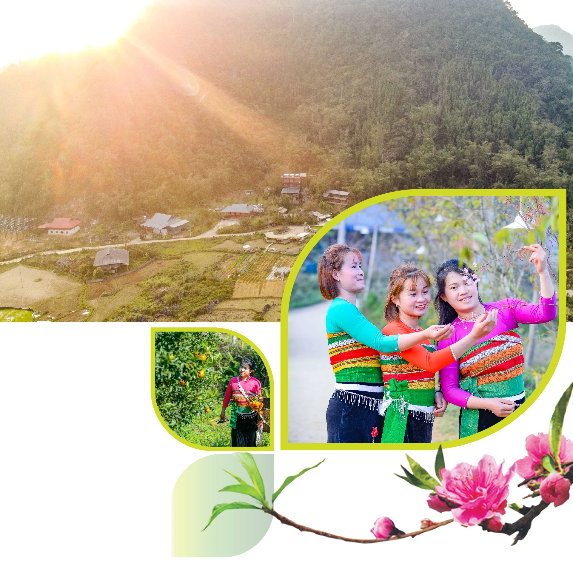 [E-Magazine] Xuân sớm giữa đại ngàn