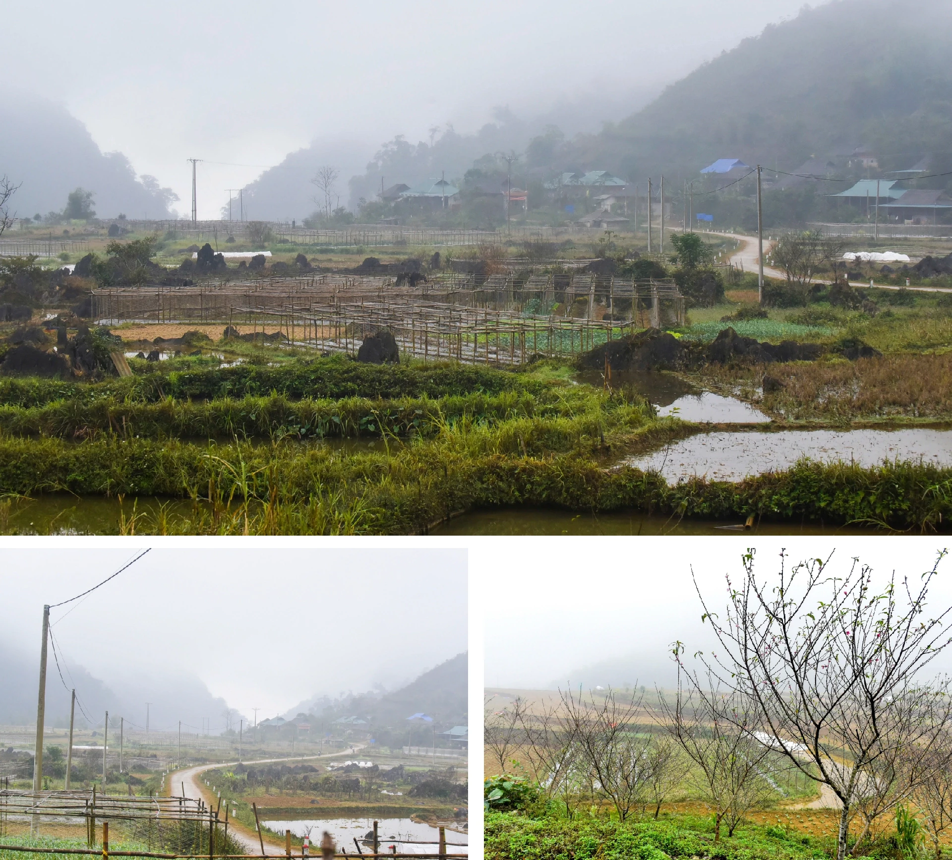 [E-Magazine] Xuân sớm giữa đại ngàn