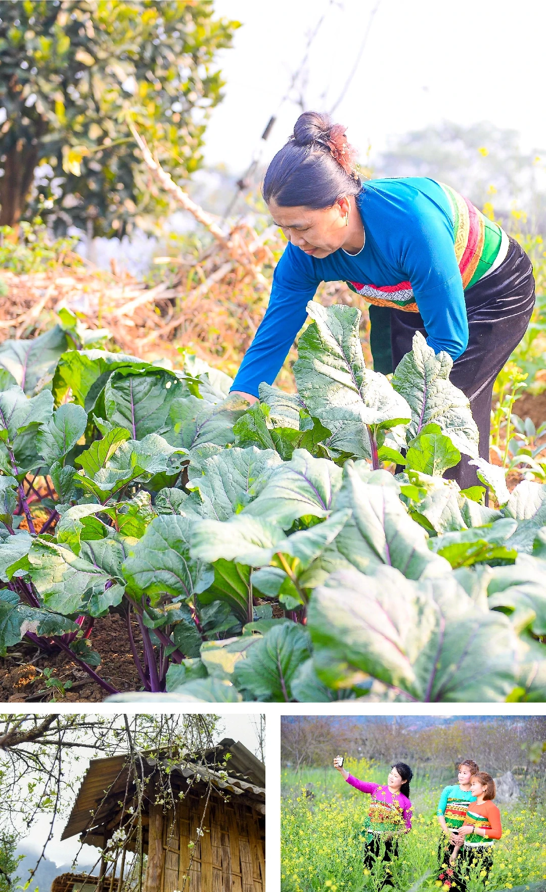 [E-Magazine] Xuân sớm giữa đại ngàn