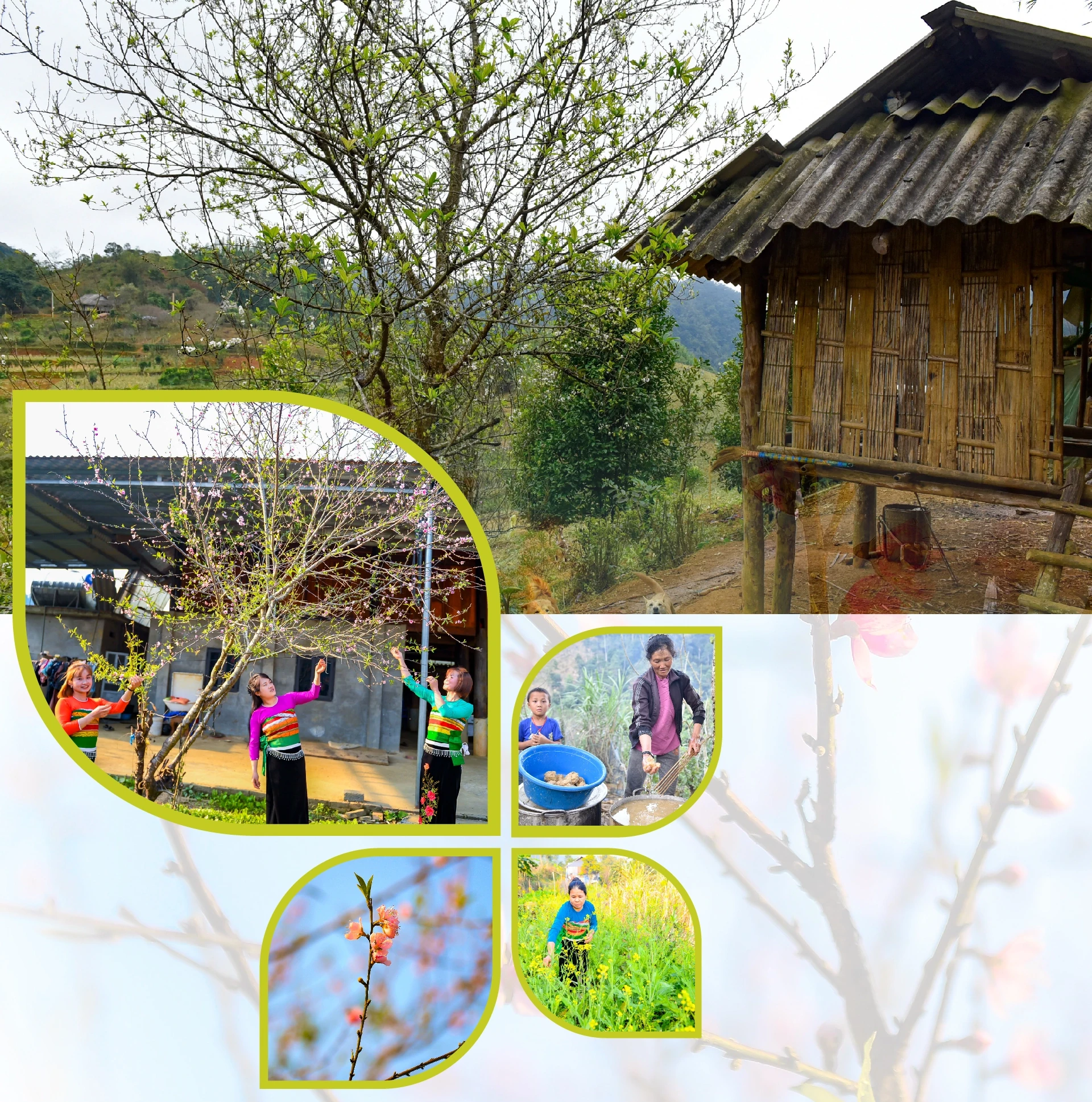 [E-Magazine] Xuân sớm giữa đại ngàn