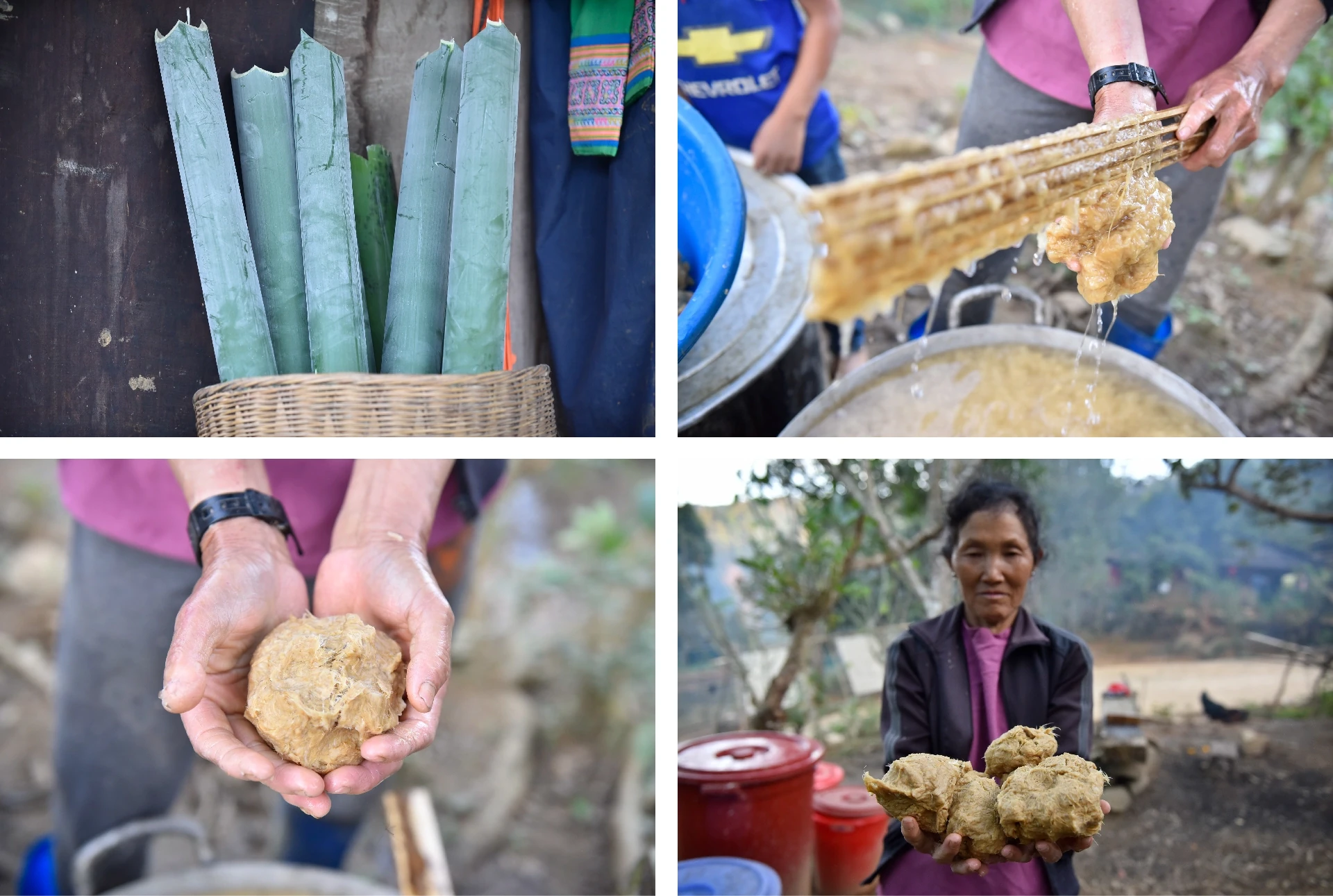 [E-Magazine] Xuân sớm giữa đại ngàn