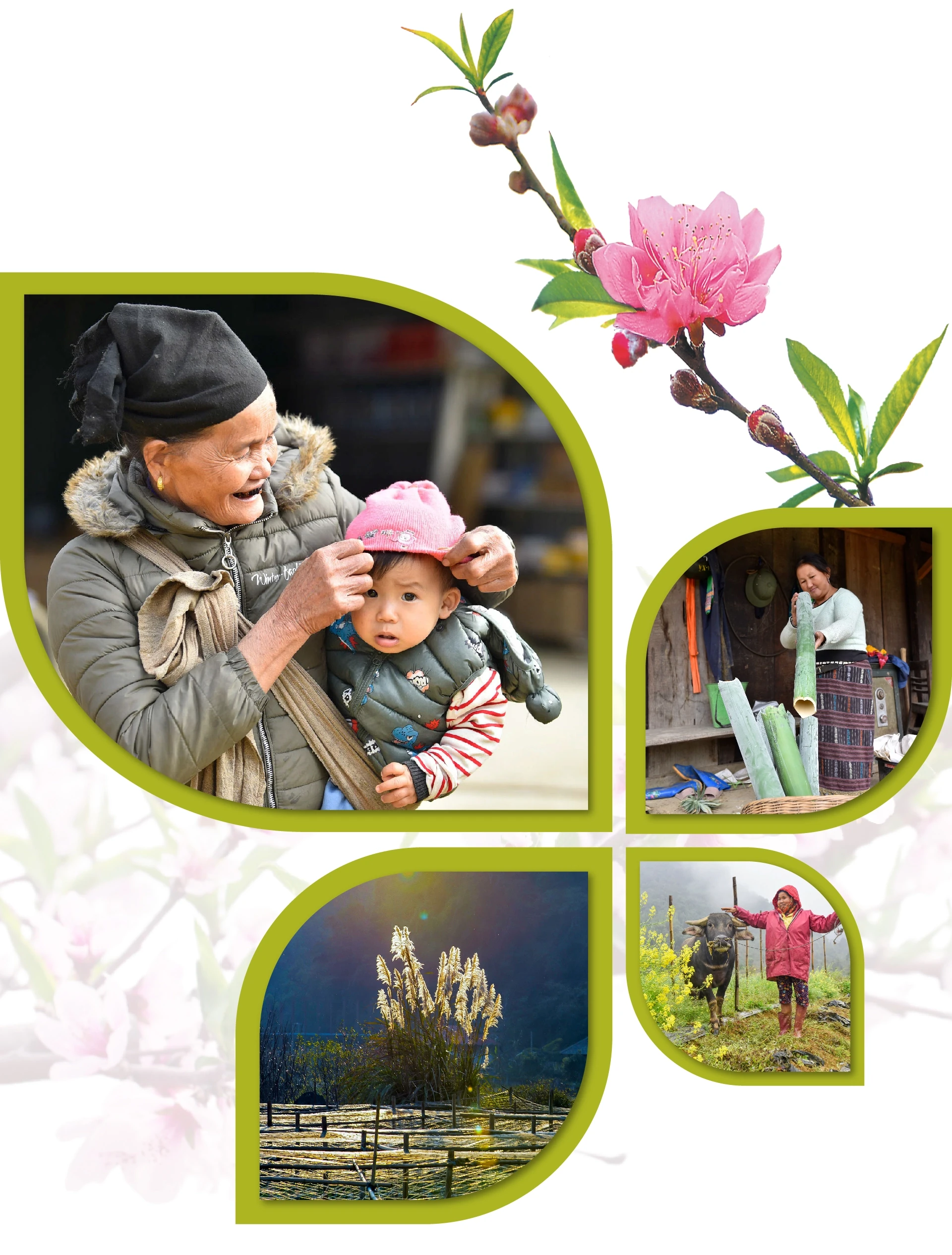 [E-Magazine] Xuân sớm giữa đại ngàn