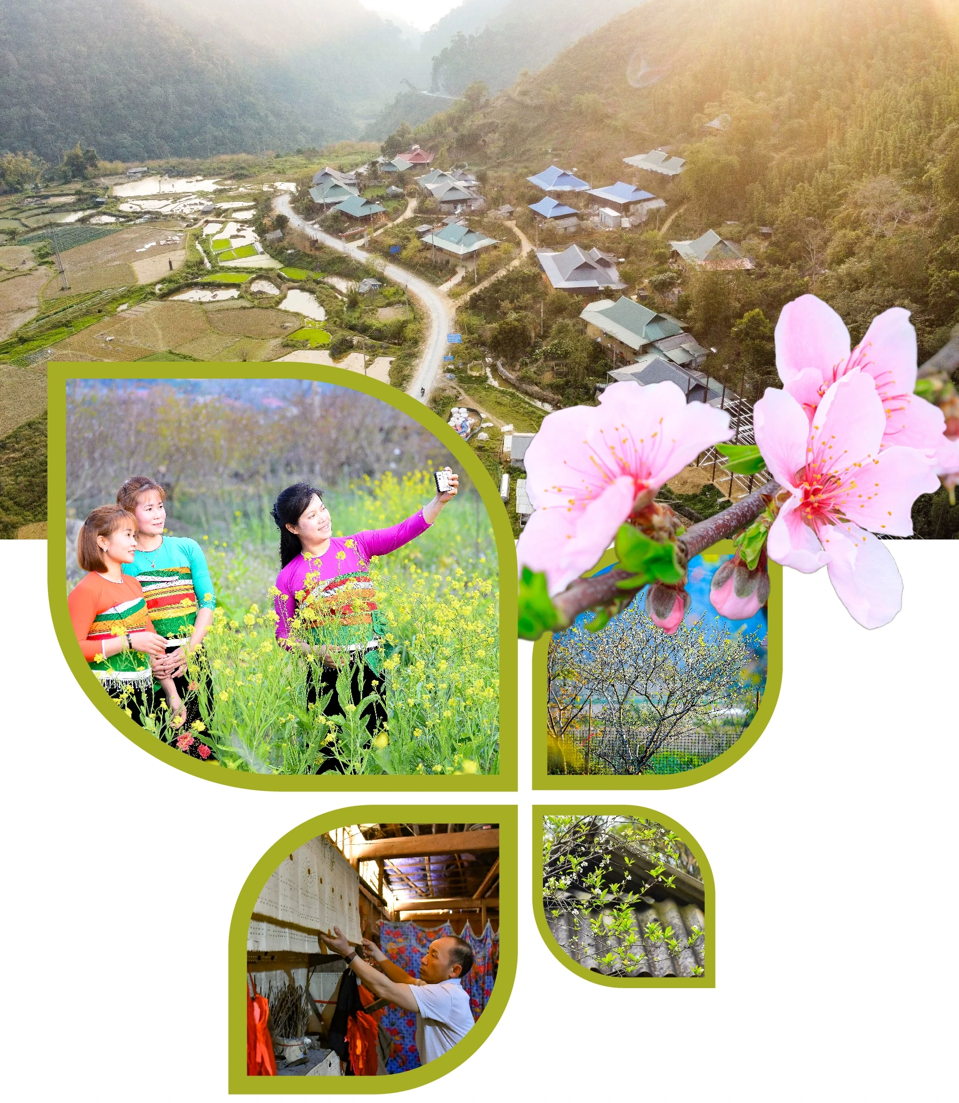 [E-Magazine] Xuân sớm giữa đại ngàn