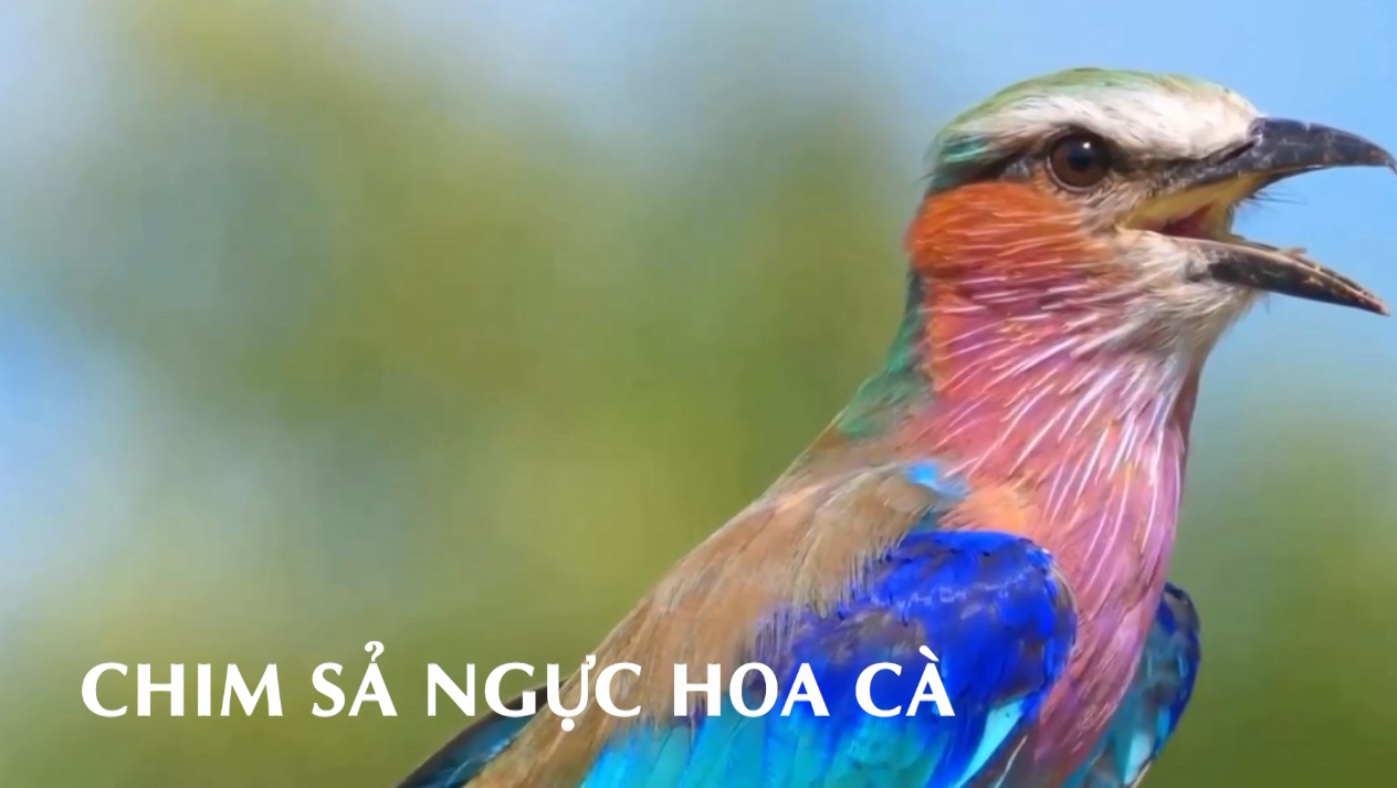 Thế giới quanh em