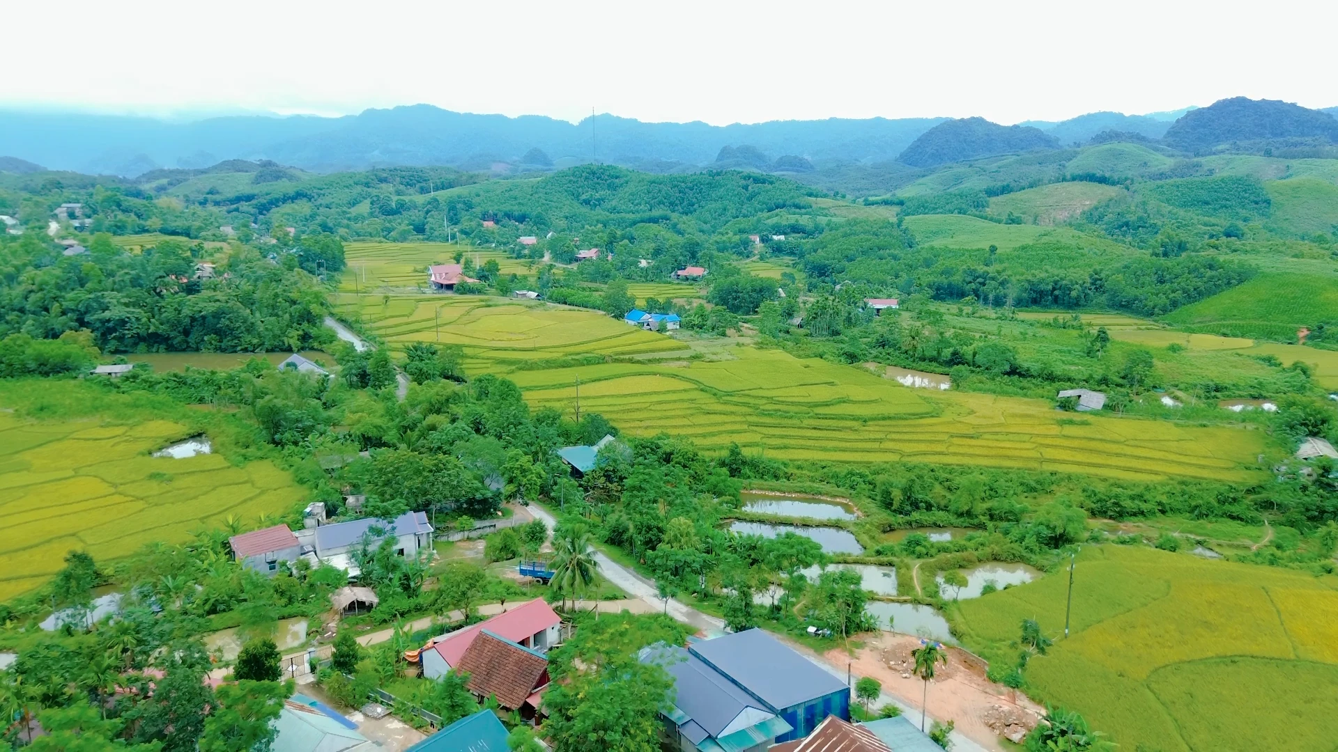 Khát vọng xanh trên đồi Pú Pỏm