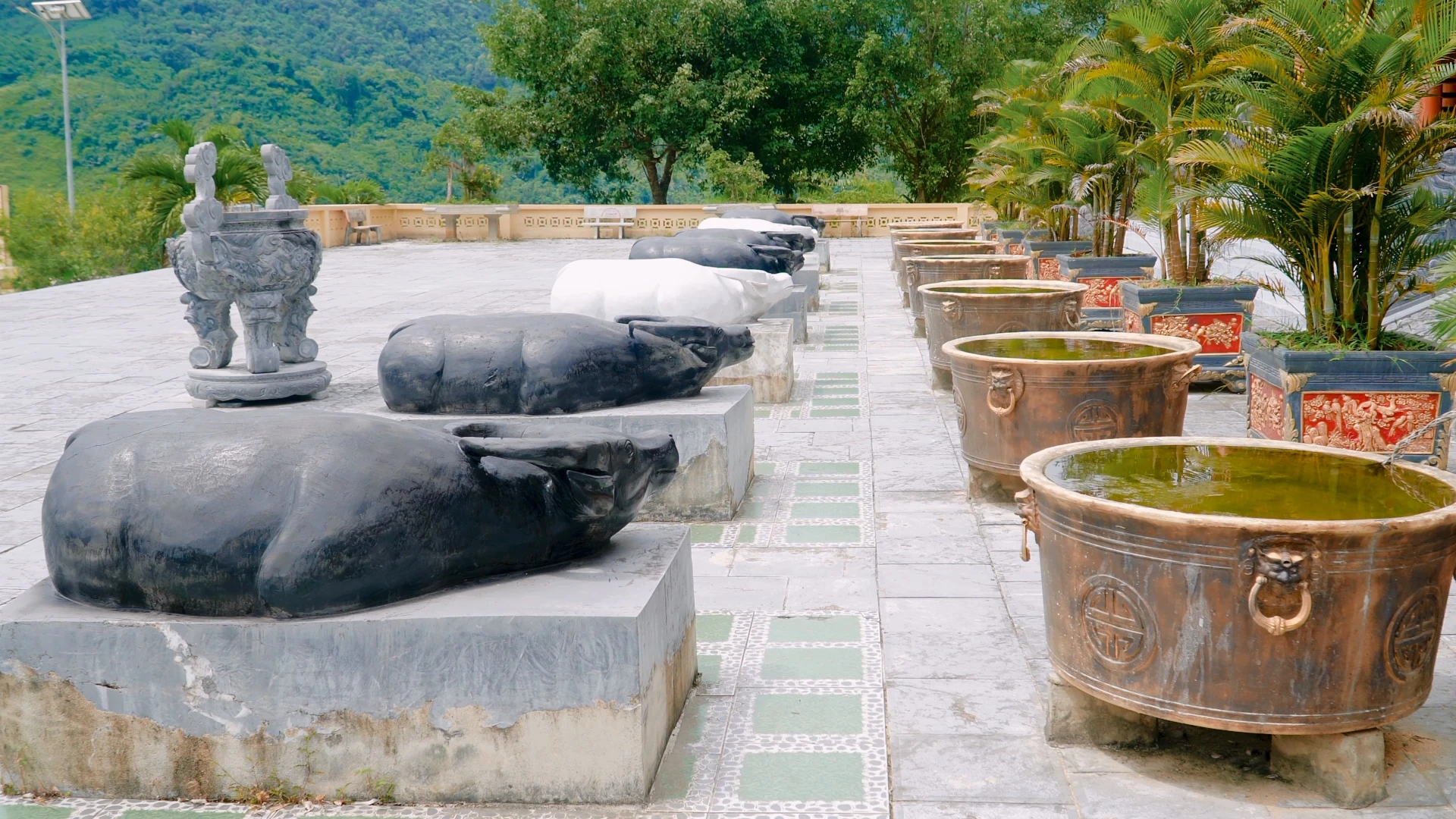 Khát vọng xanh trên đồi Pú Pỏm