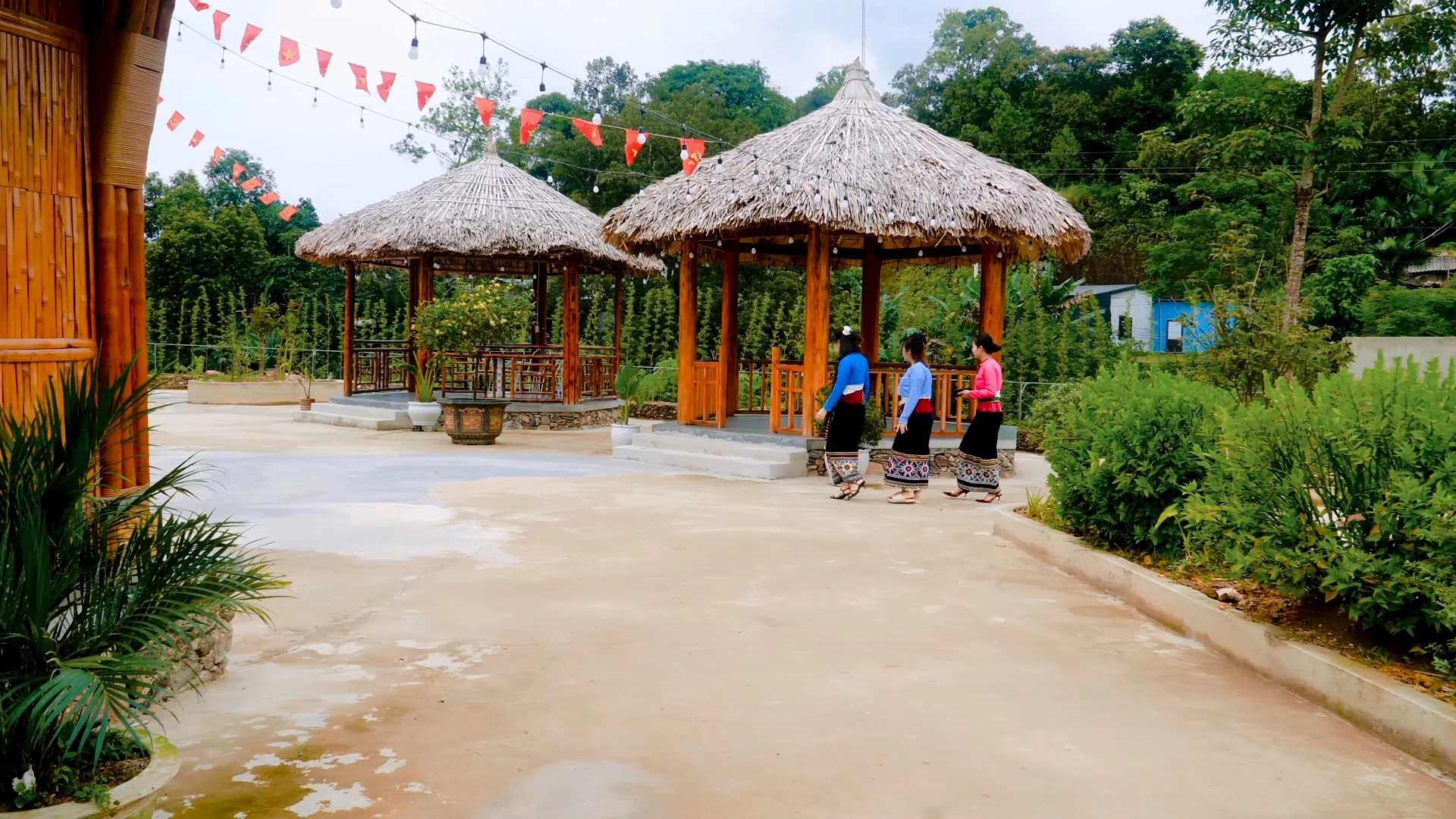 Khát vọng xanh trên đồi Pú Pỏm