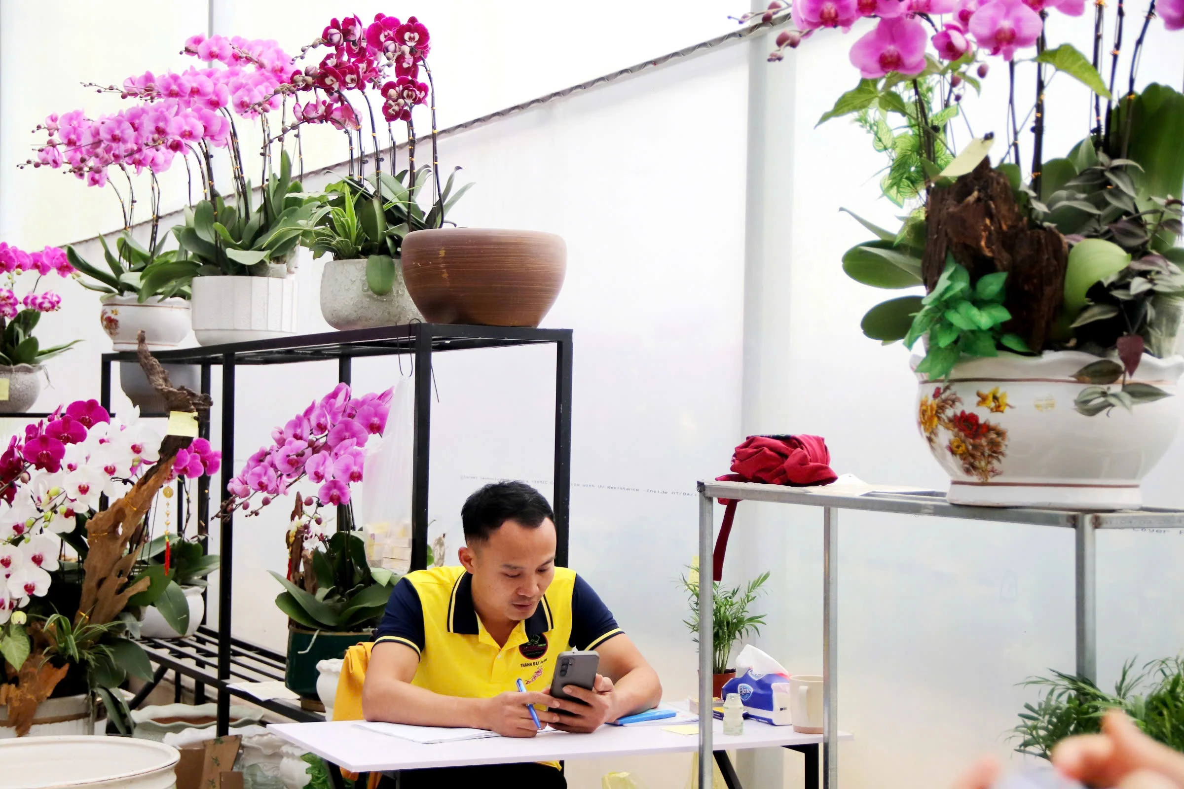 Khởi nghiệp, làm giàu từ hoa lan