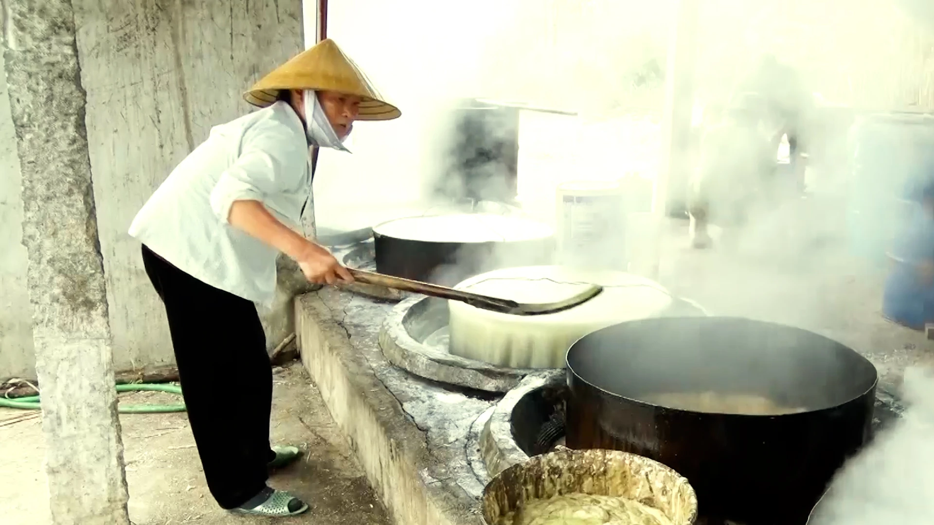 Xuân trên đất mía