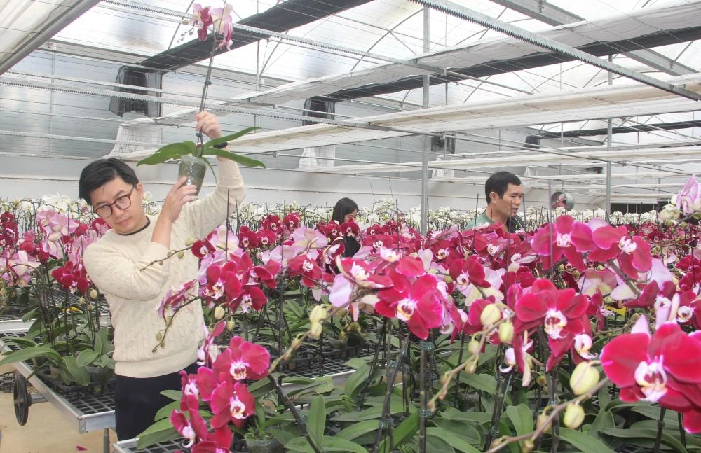 Chợ hoa xuân giữa cánh đồng công nghệ