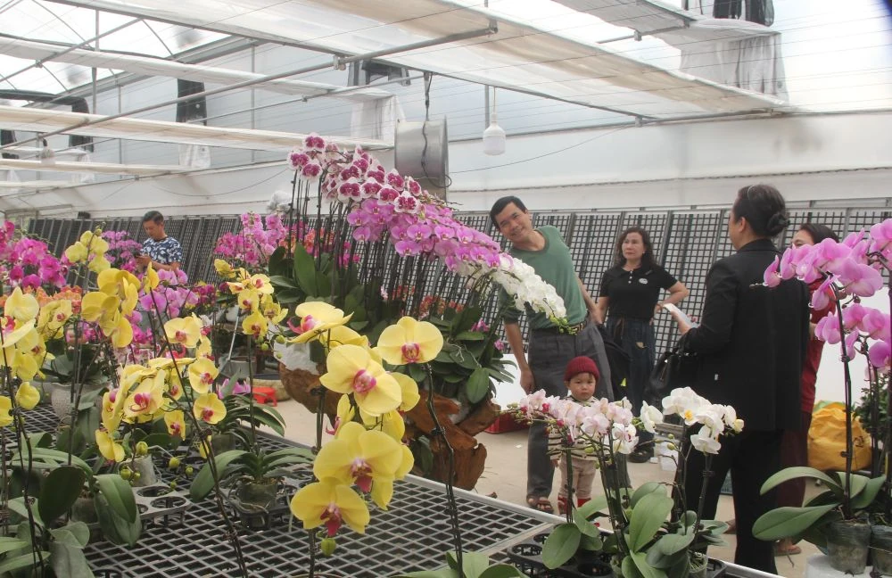 Chợ hoa xuân giữa cánh đồng công nghệ