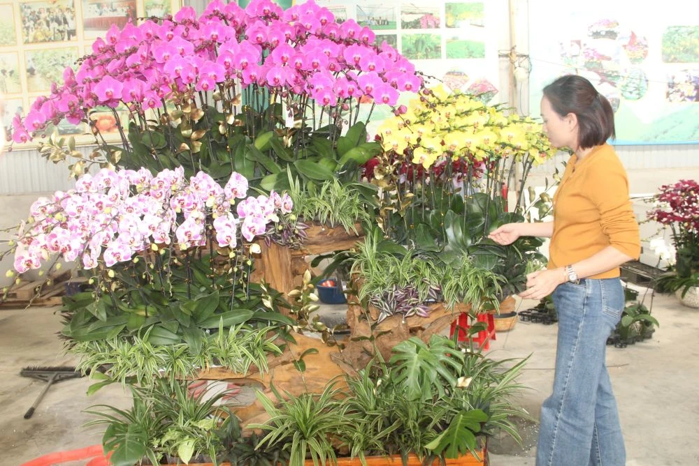 Chợ hoa xuân giữa cánh đồng công nghệ