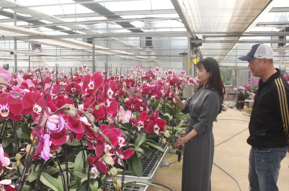 Chợ hoa xuân giữa cánh đồng công nghệ