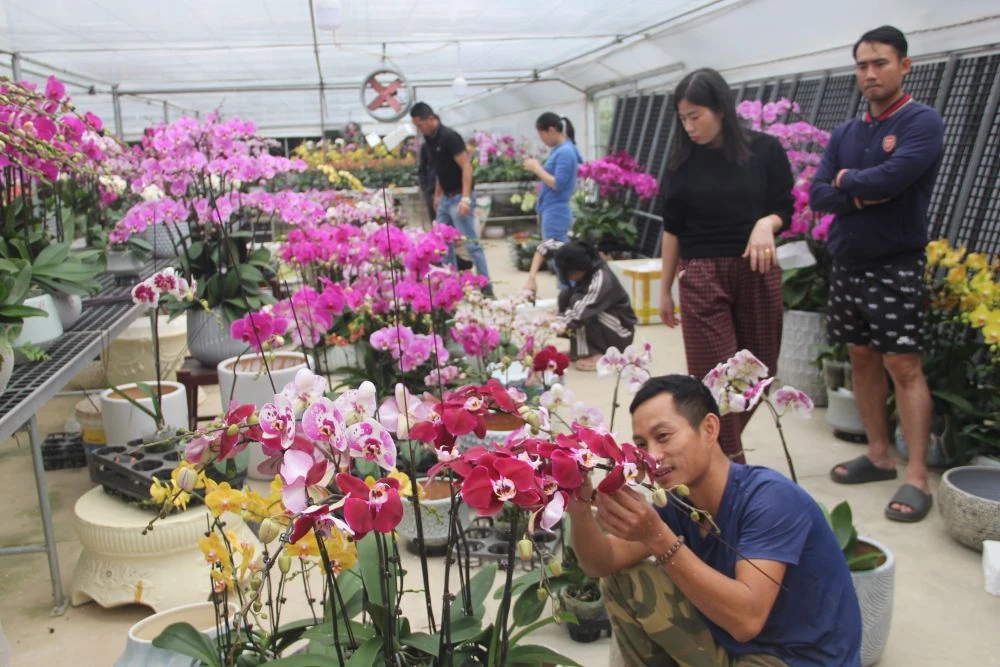 Chợ hoa xuân giữa cánh đồng công nghệ