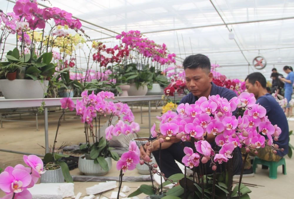 Chợ hoa xuân giữa cánh đồng công nghệ