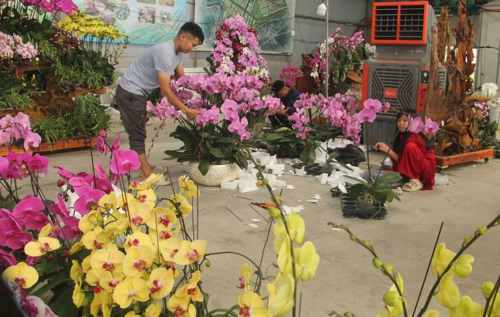 Chợ hoa xuân giữa cánh đồng công nghệ