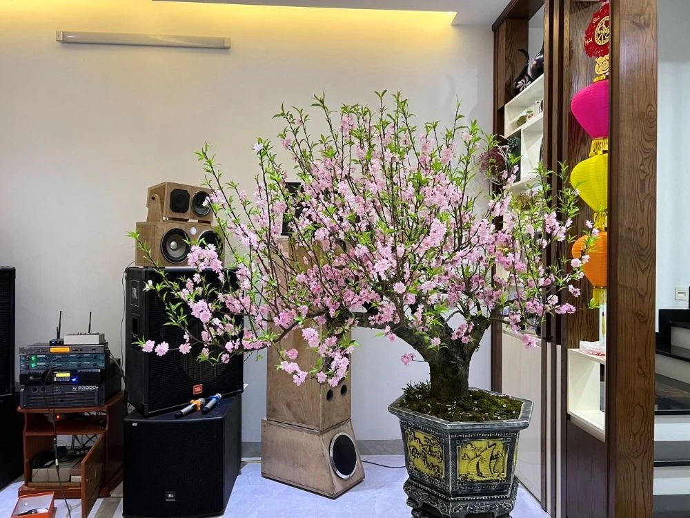 Thuê đào chơi Tết - từ thú chơi sang xu hướng tiêu dùng mới