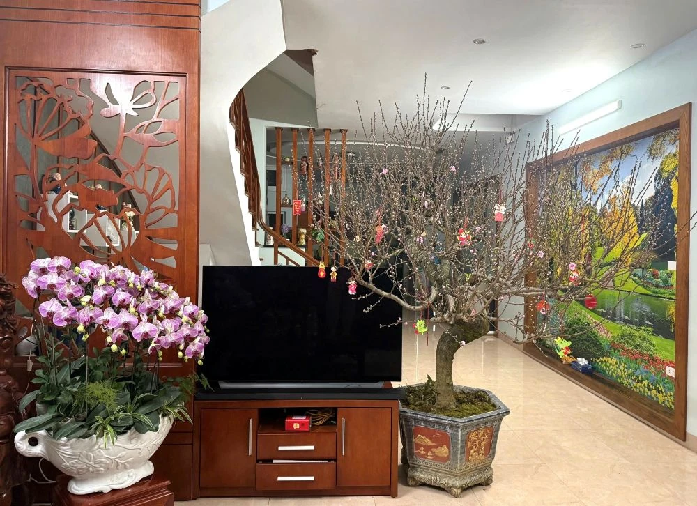 Thuê đào chơi Tết - từ thú chơi sang xu hướng tiêu dùng mới