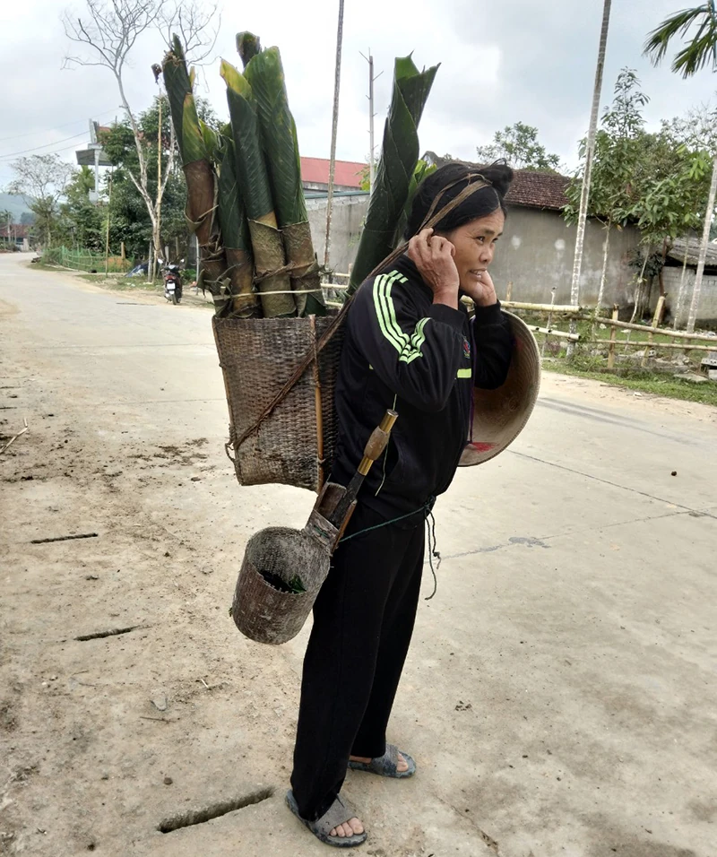 “Lửa tết” (Bài 1): Thấy lá dong là thấy tết...