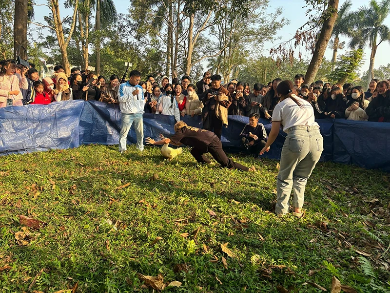 Sinh viên rộn ràng đón xuân về