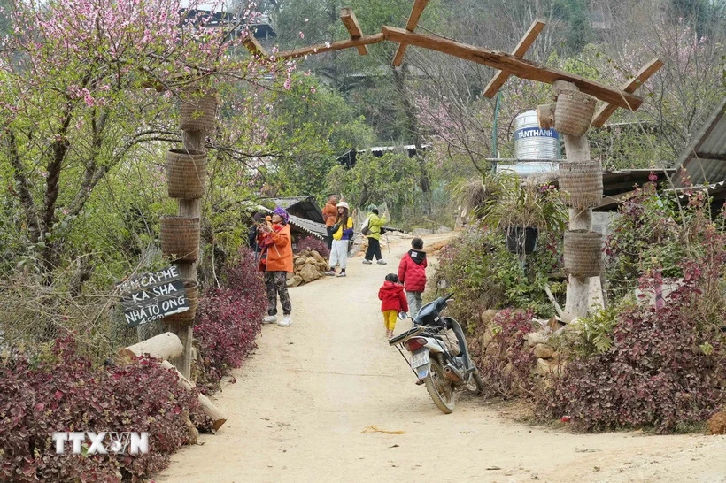 Khởi động tour du lịch Tết và chiến lược kinh doanh 2026