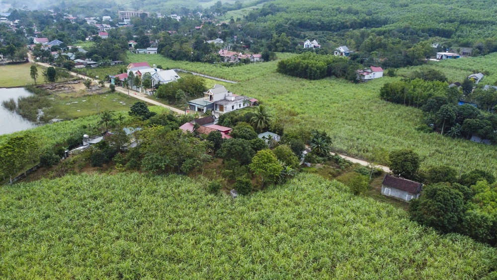 Xuân về trên Chiến khu Ngọc Trạo