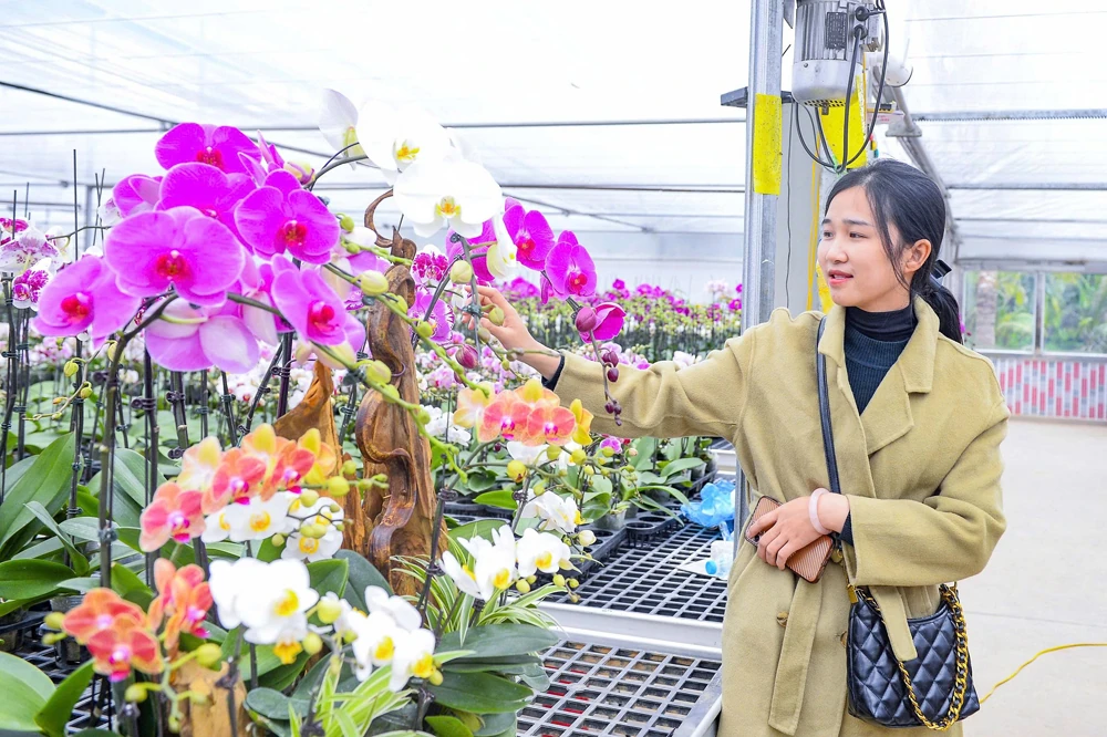 Để Tết không còn vội...!