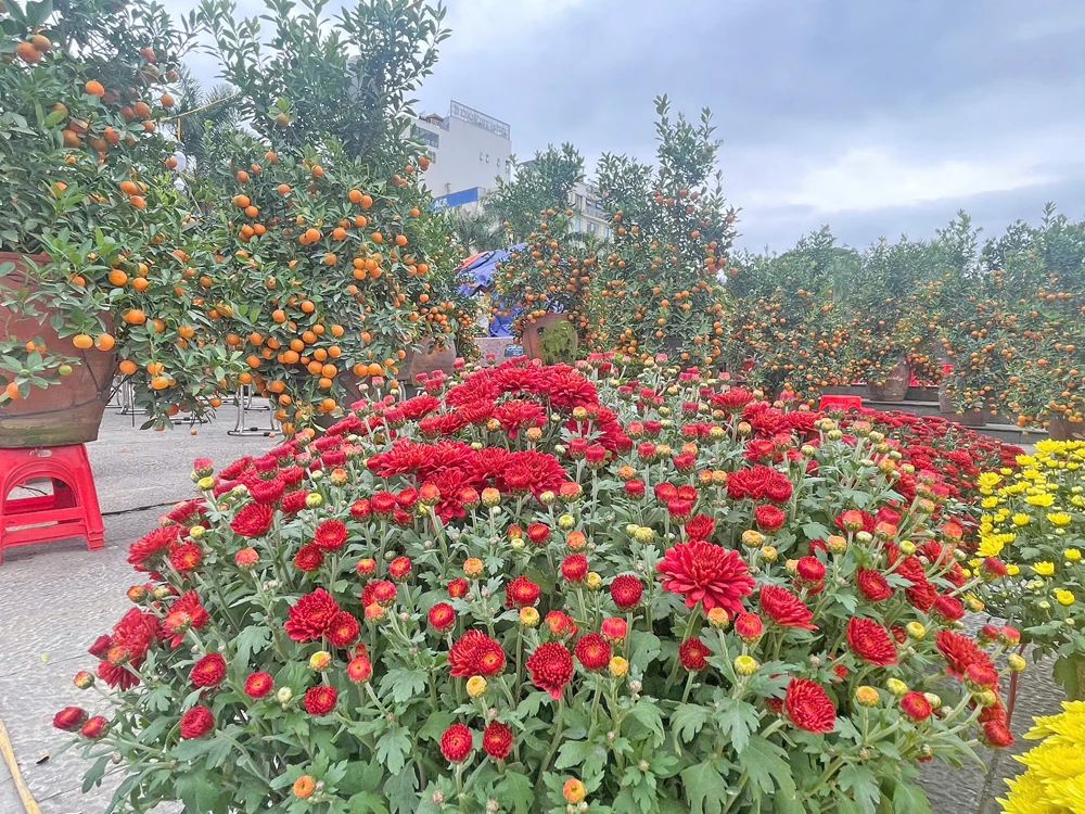 Để Tết không còn vội...!