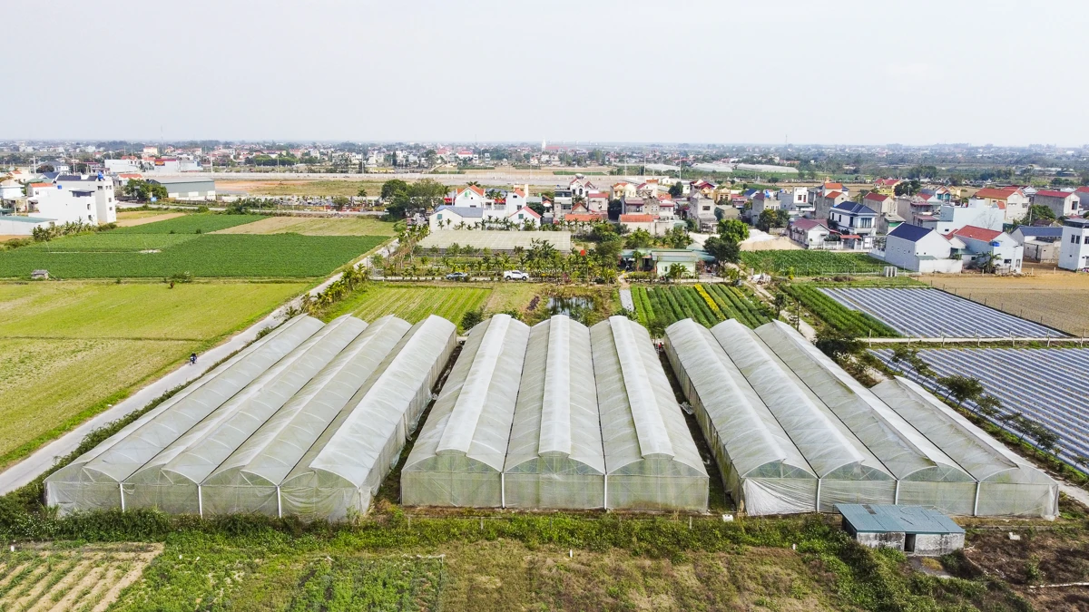 Từ ruộng đồng địa phương đến chuỗi giá trị nông nghiệp công nghệ cao