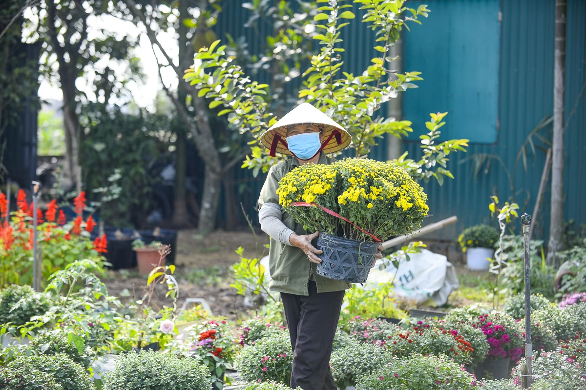 Từ ruộng đồng địa phương đến chuỗi giá trị nông nghiệp công nghệ cao