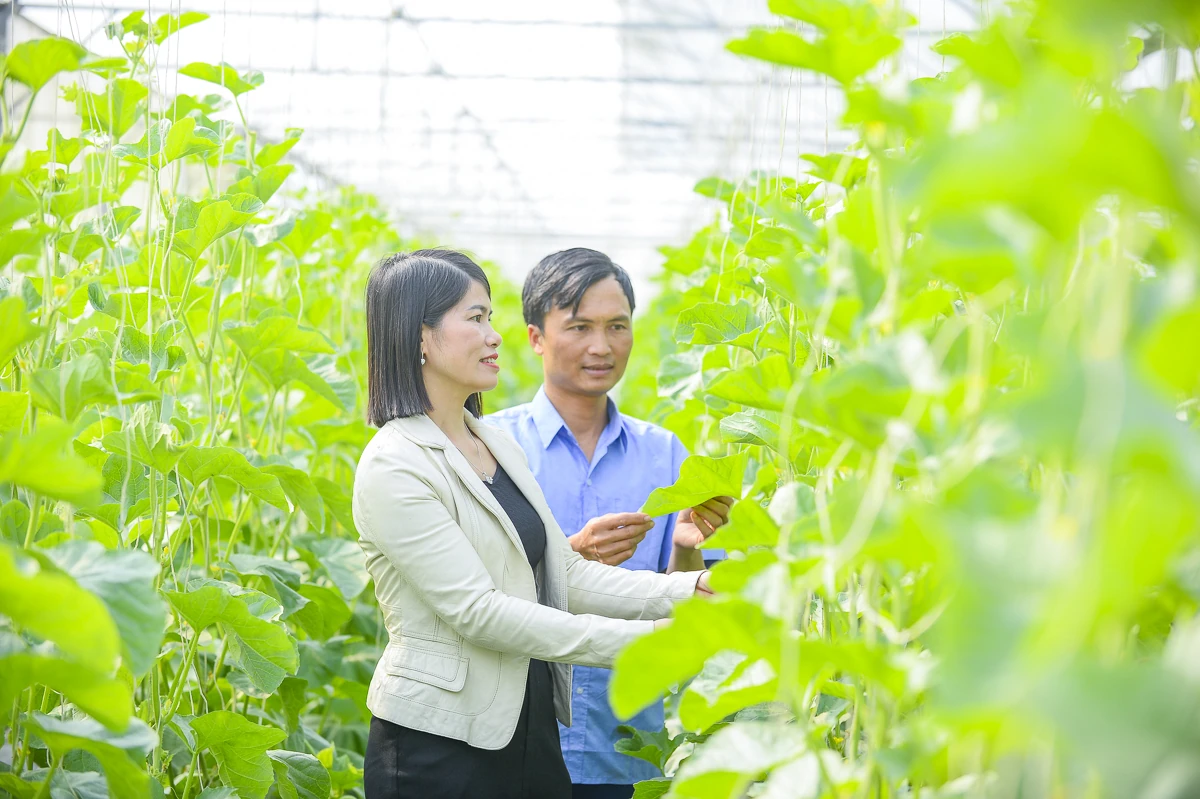 Từ ruộng đồng địa phương đến chuỗi giá trị nông nghiệp công nghệ cao