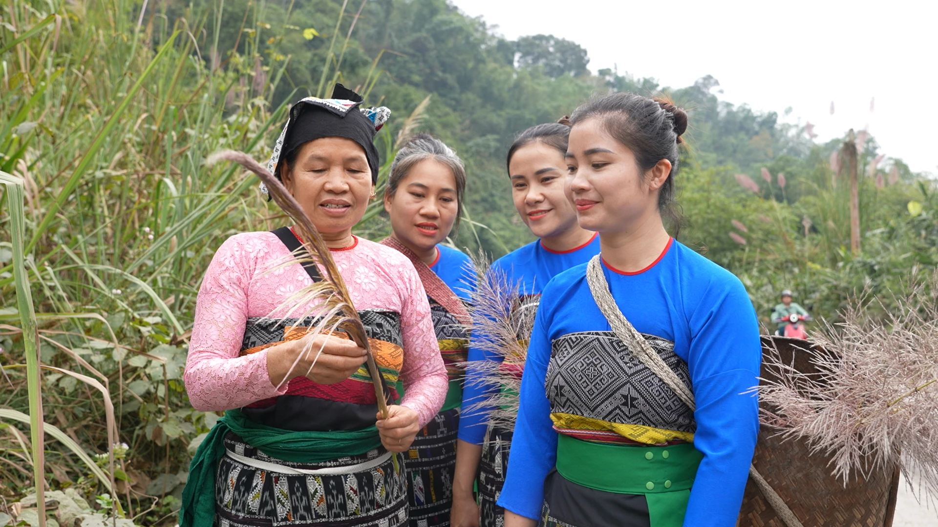 Mùa bông lau bản Thái