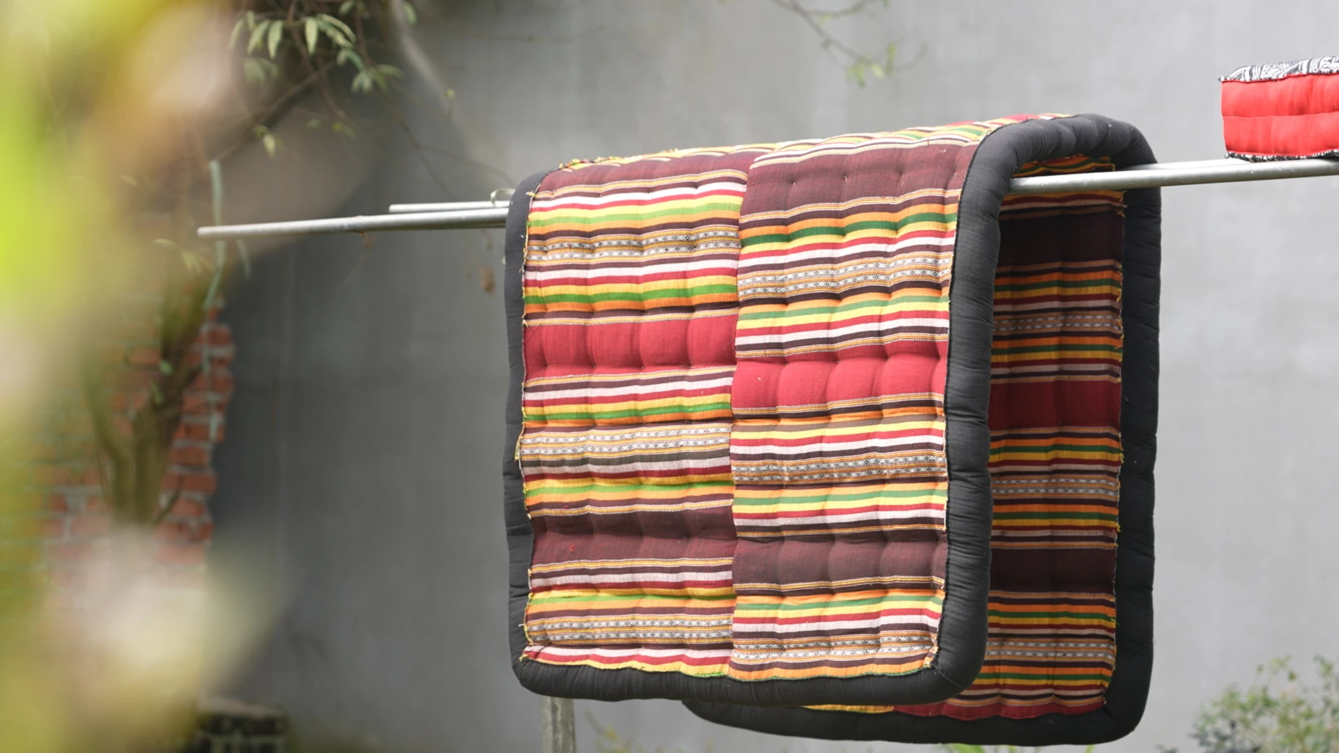 Mùa bông lau bản Thái