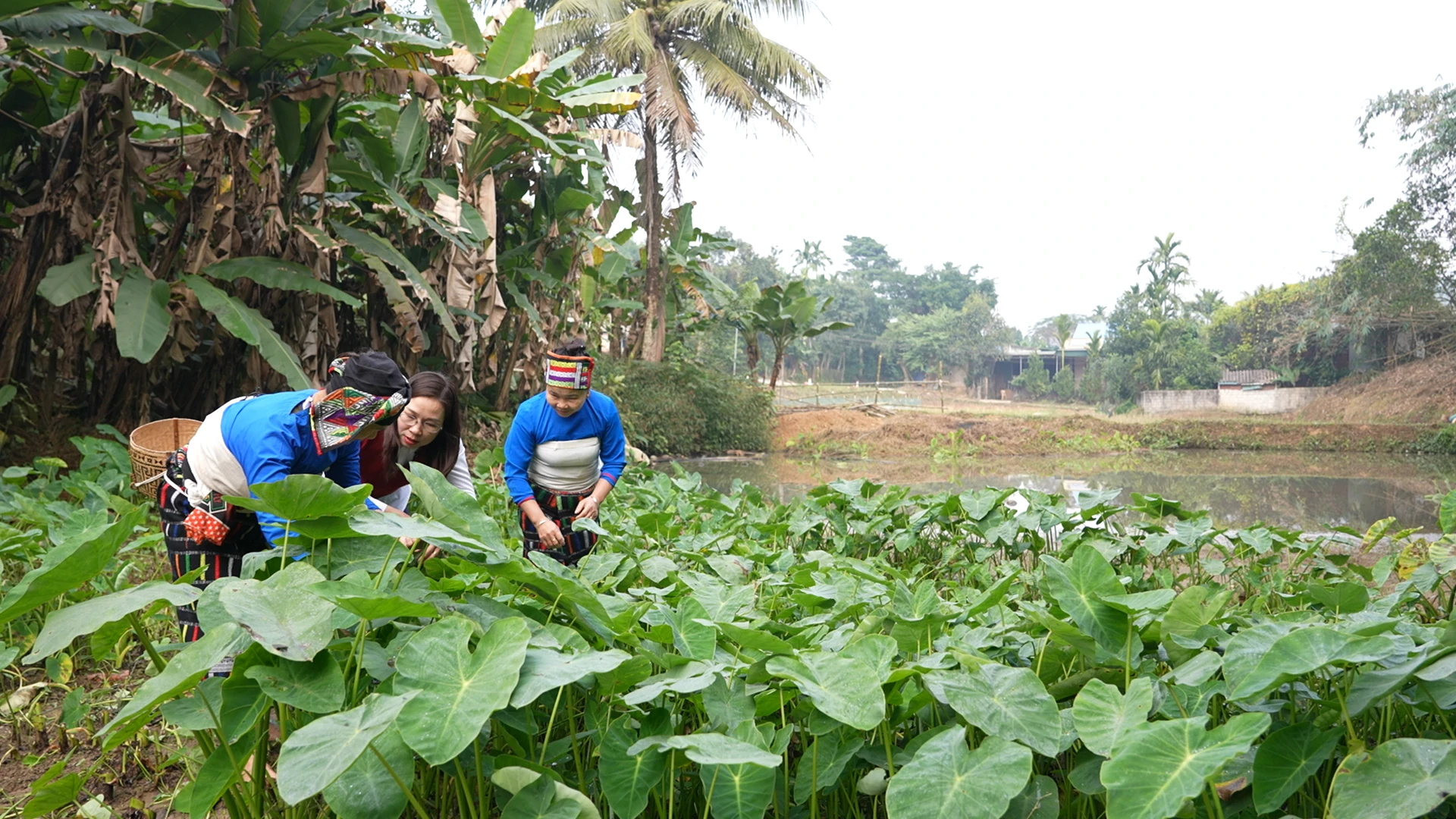 Canh môn da trâu: Mộc mạc mà vấn vương...