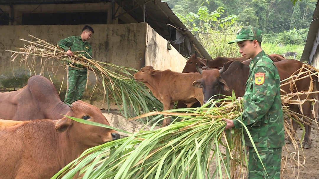 Xuân chiến sĩ nơi biên cương