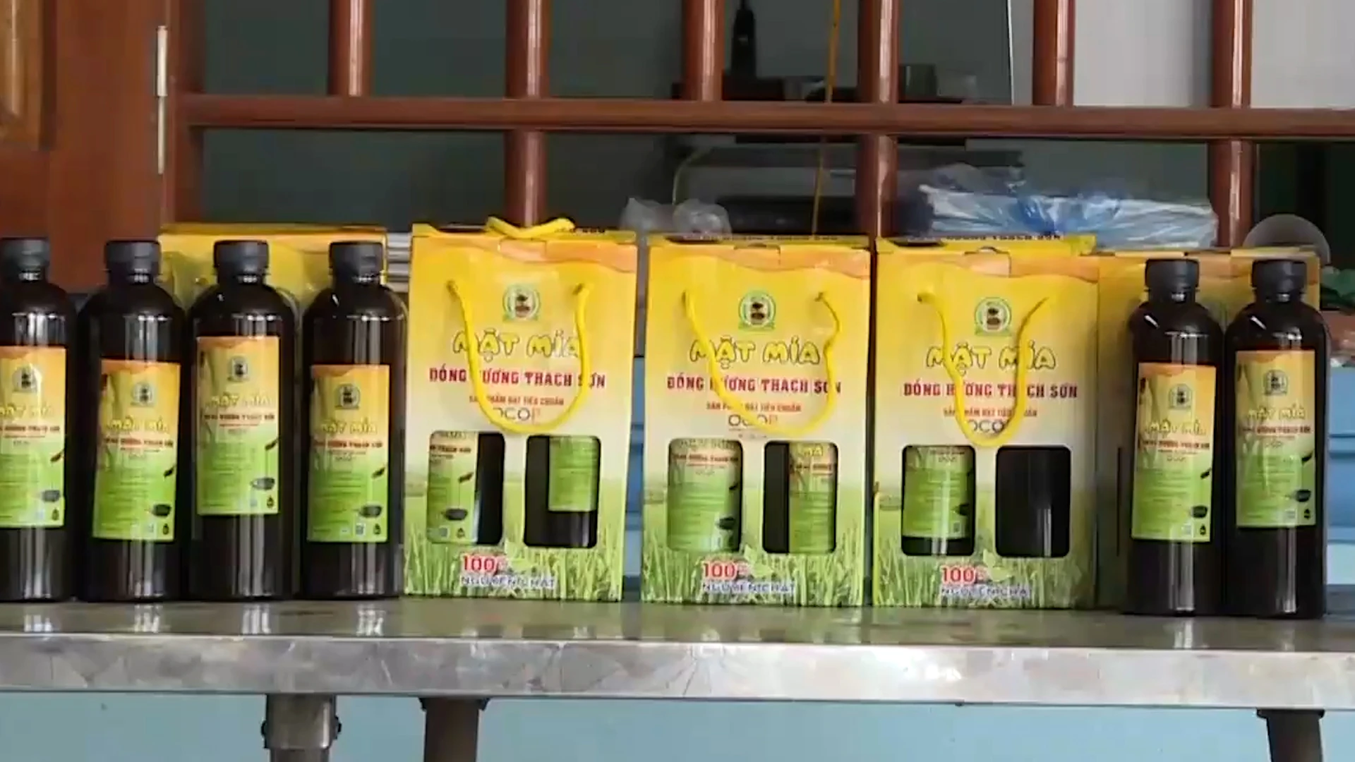 Xuân trên đất mía