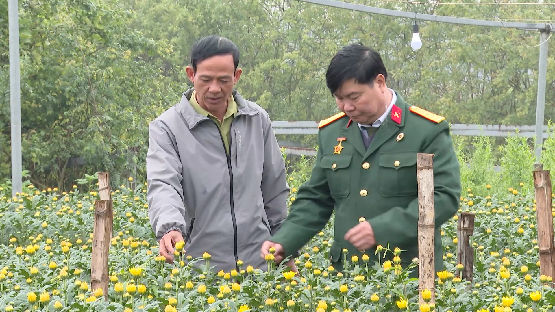 Những cựu chiến binh gắn bó với nghề trồng hoa Tết