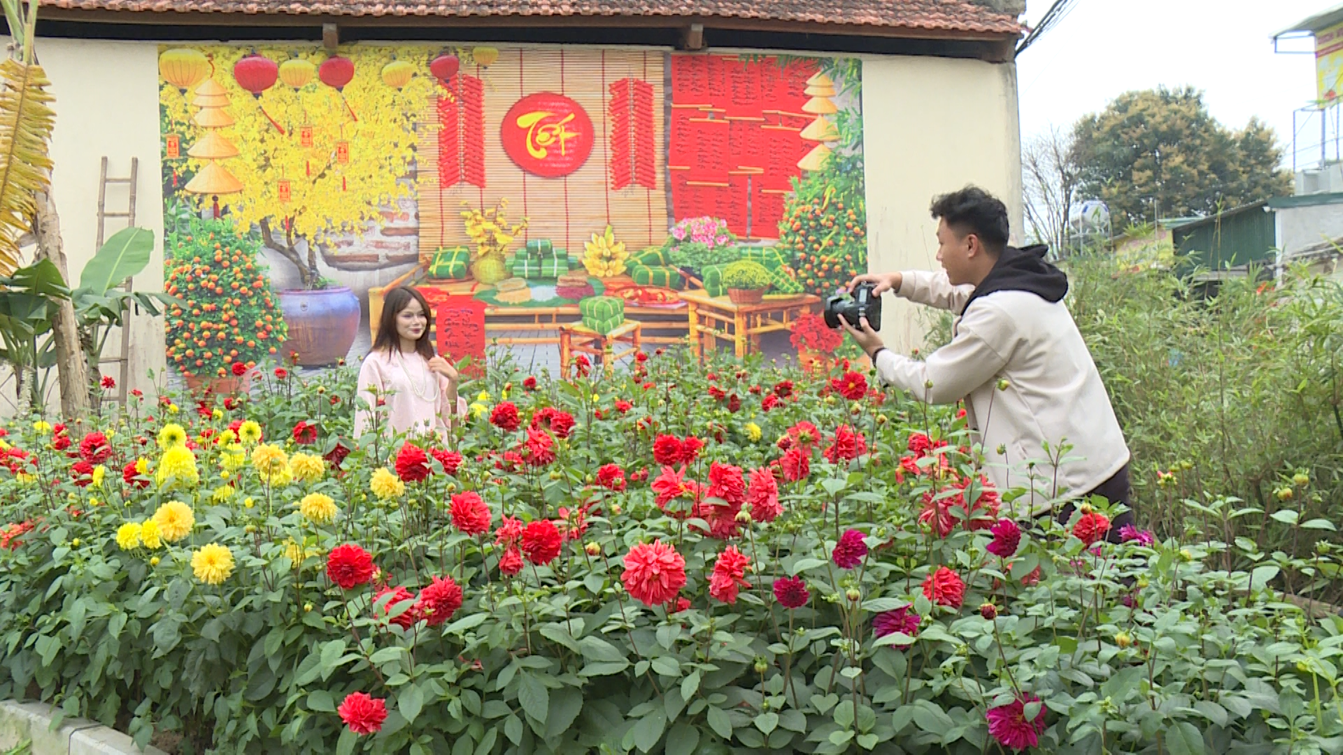 Sắc xuân Hàm Rồng