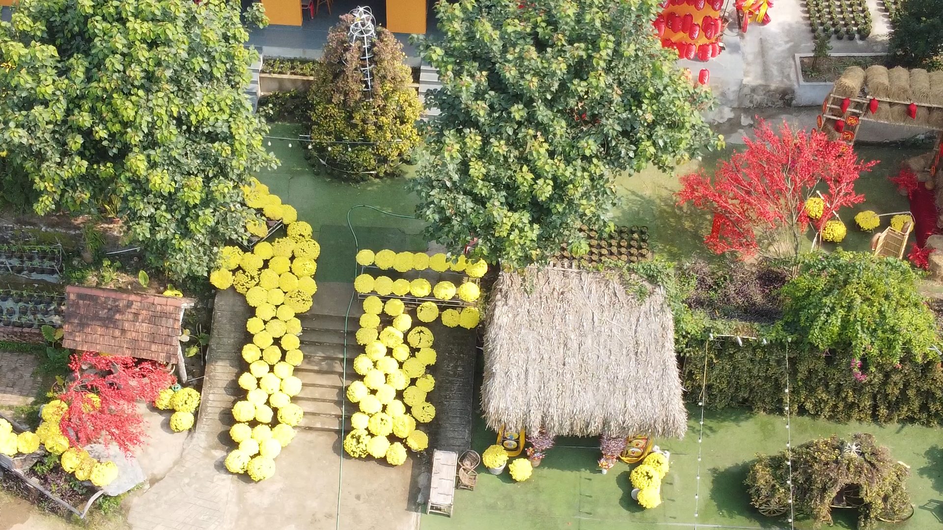 Sắc xuân Hàm Rồng