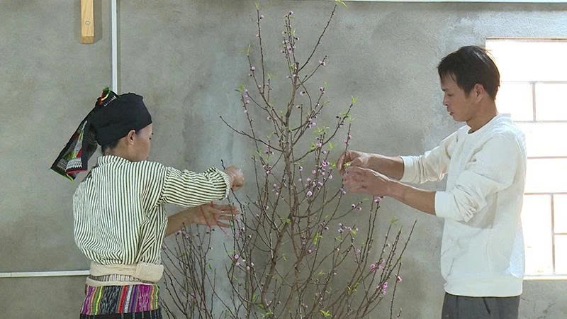 Xuân ấm Yên Nhân