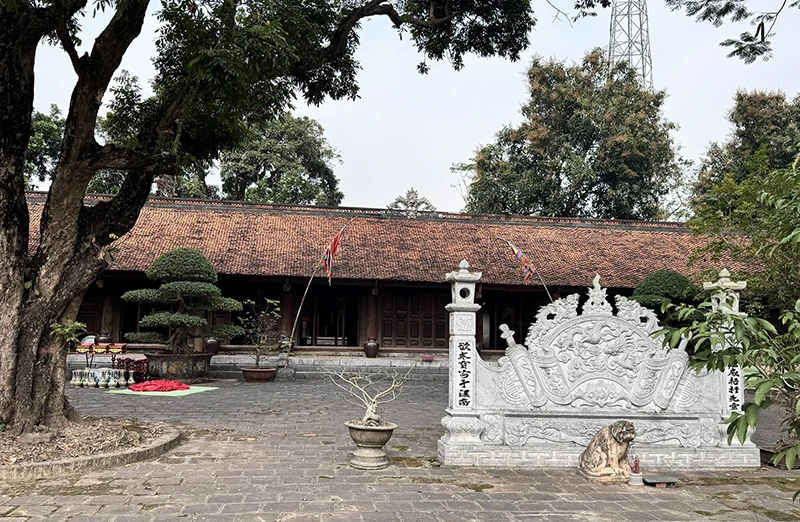 Ngựa xe về Bồng Báo”