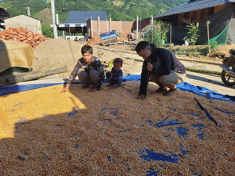 Sắc xuân trên các khu tái định cư