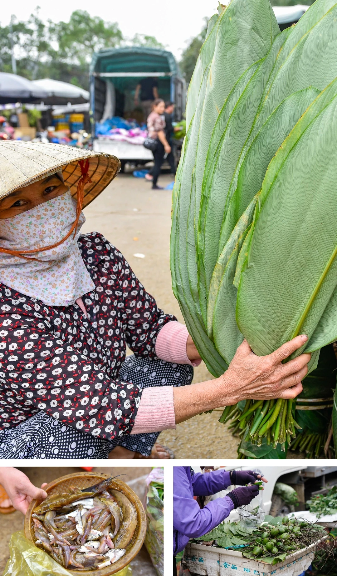 [E-Magazine] Nẻo về chợ Tết